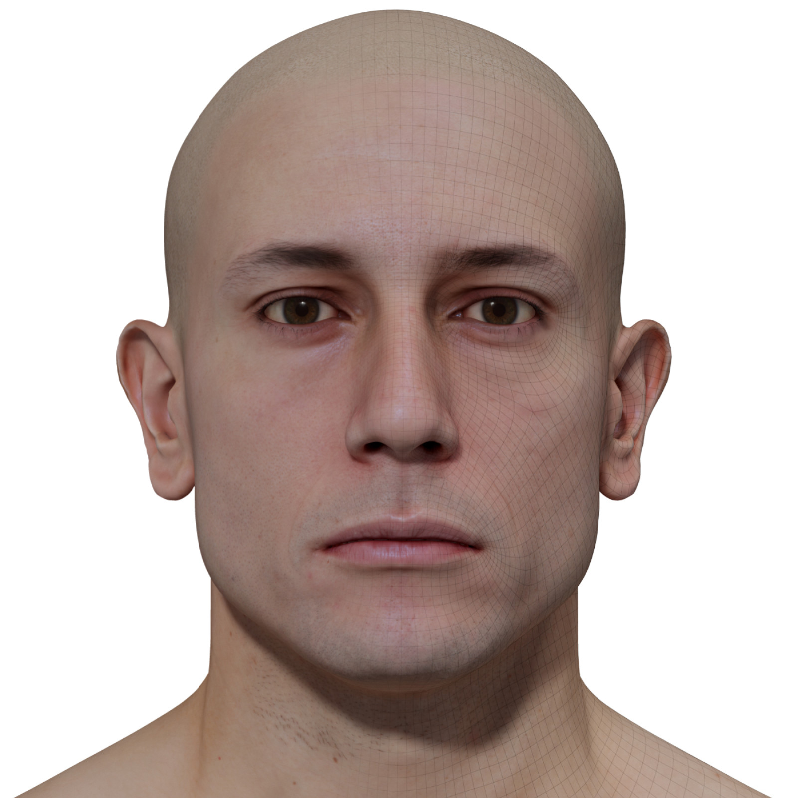 Male 3d model retopologised head scan 024